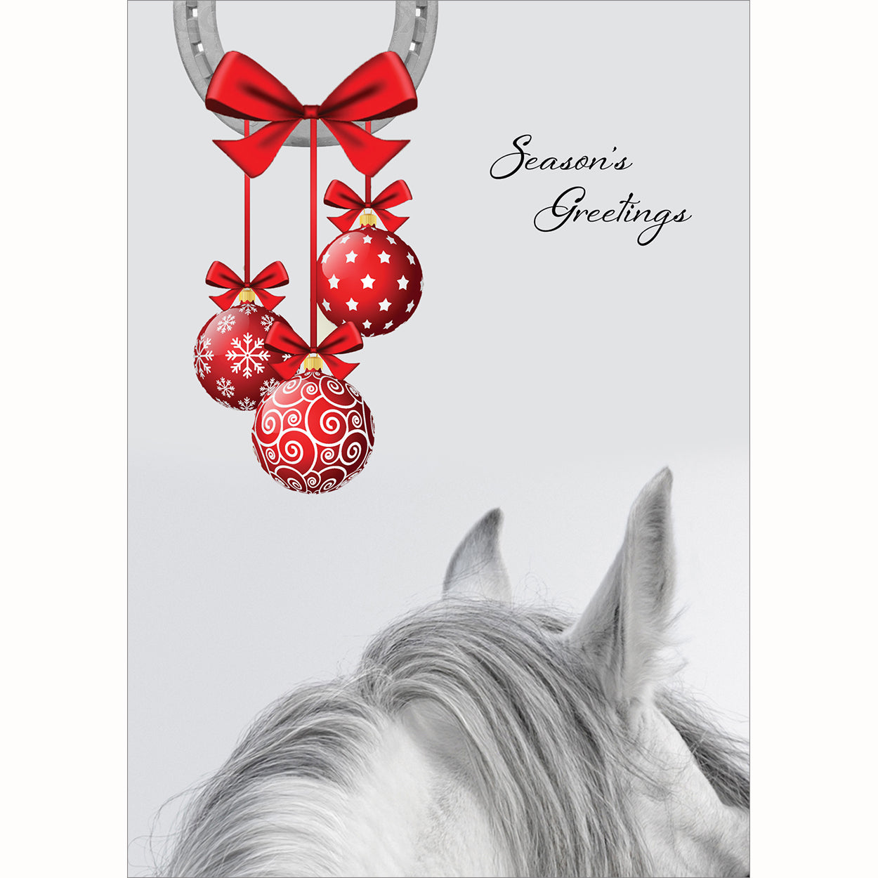 20 Blank Equestrian Greeting Cards - Pack H14