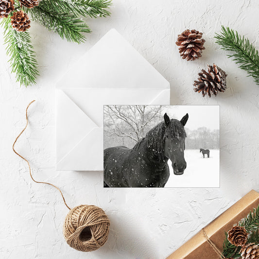 20 Blank Equestrian Greeting Cards - Pack H10