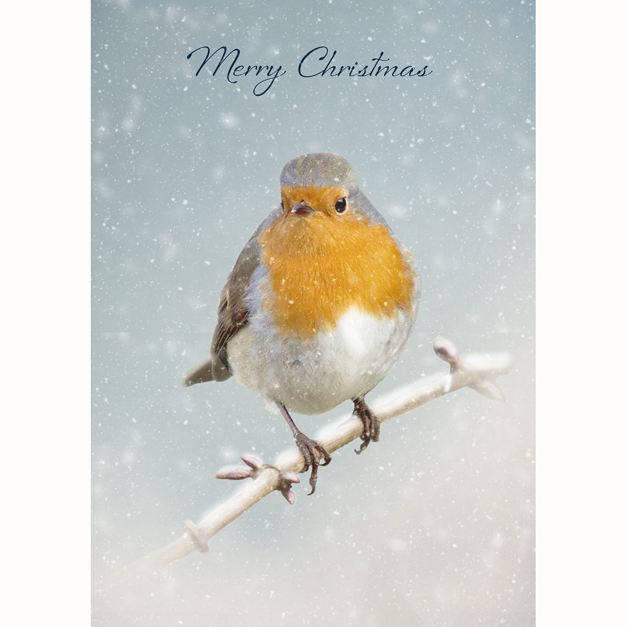 20 Blank Xmas Winter Robin Greeting Cards - Pack X05