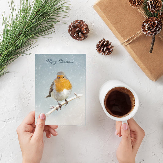 20 Blank Xmas Winter Robin Greeting Cards - Pack X05