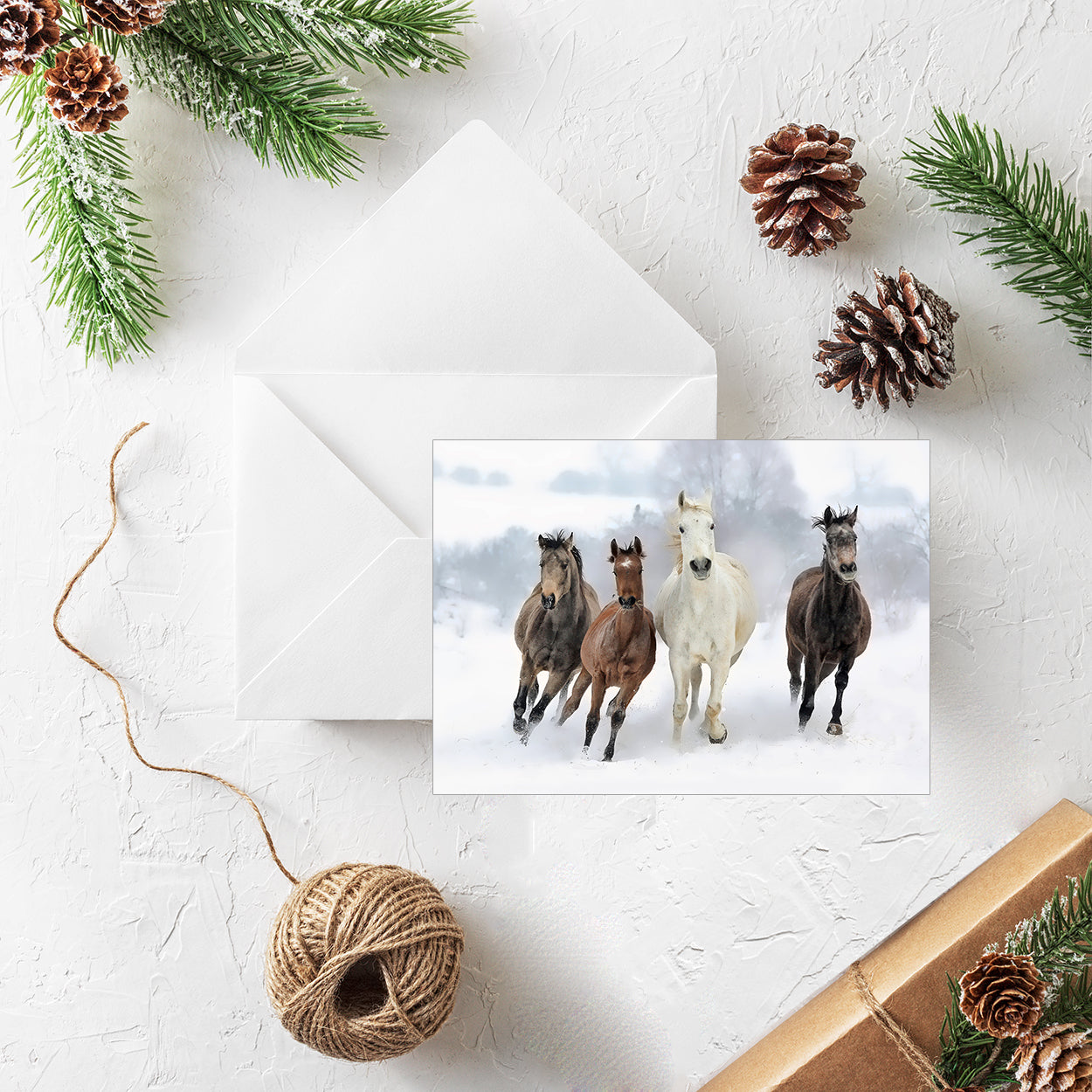 20 Blank Equestrian Greeting Cards - Pack H13