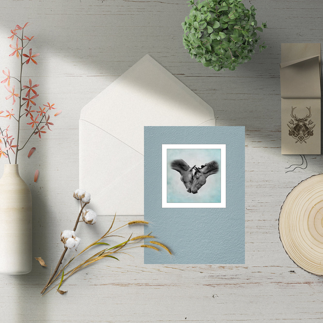 Card Offer 04