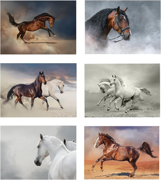 Set Of 6 Equestrian Prints