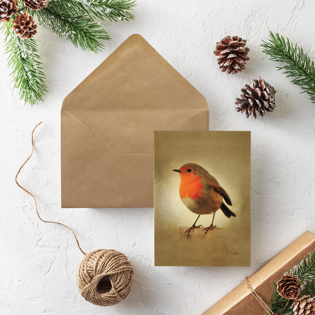 Vintage Robin - Pack of 20