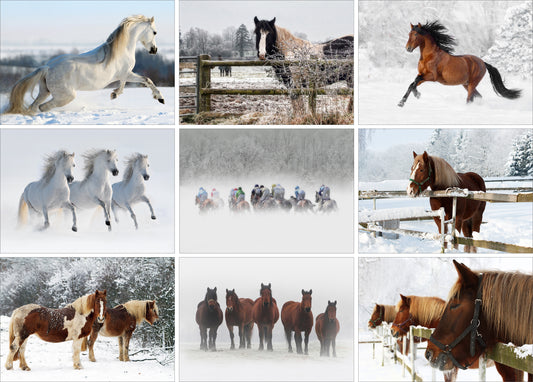 Nine Equestrian Christmas Greeting Cards - Pack H02