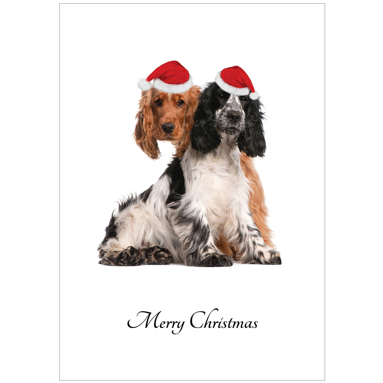 20 Blank Xmas Spaniels Greeting Cards - Pack X07