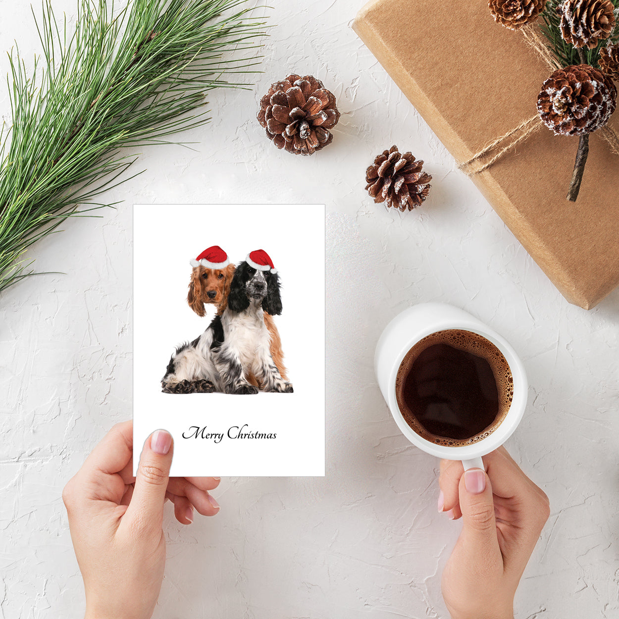 Spaniels wearing Santa hats - Pack of 20 Personalised