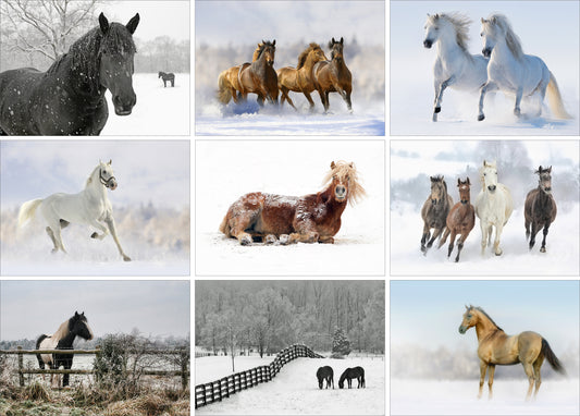 Nine Equestrian Christmas Greeting Cards - Pack H03