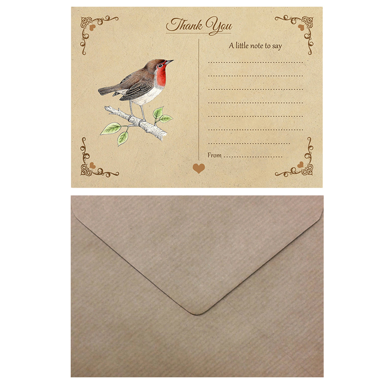 Vintage Robin Thank You Note Cards With Brown Kraft Envelopes - Pack of 20