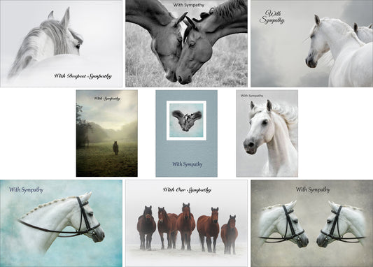 Nine Equestrian Sympathy Greeting Cards - Pack H04