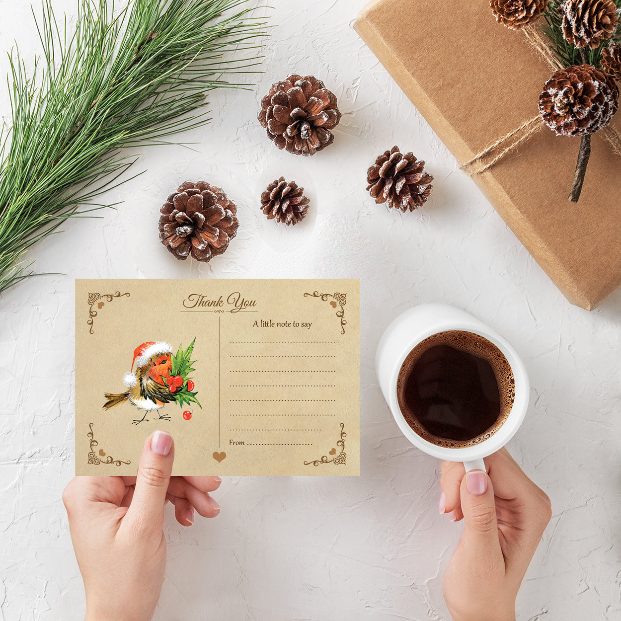 Vintage Fun Robin Christmas Thank You Note Cards With White Envelopes - Pack of 20