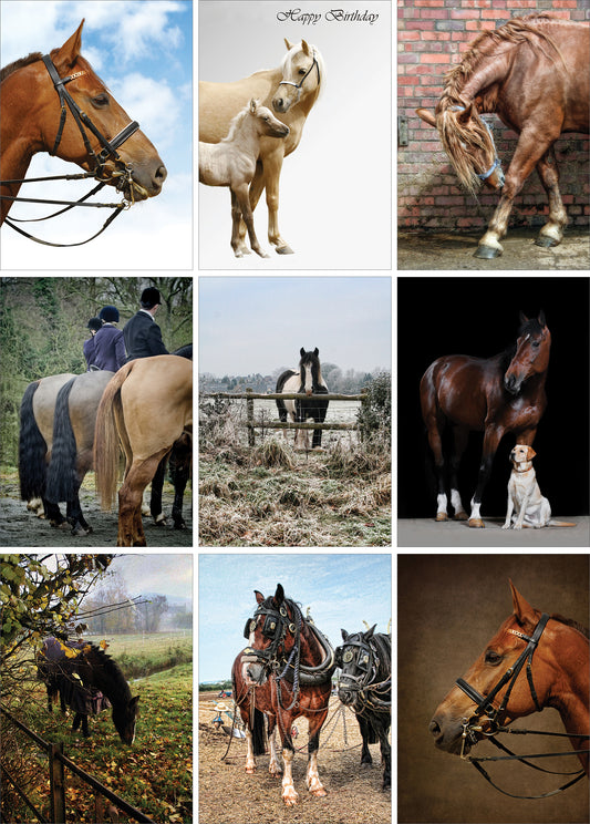 Nine Equestrian Greeting Cards - Pack H06