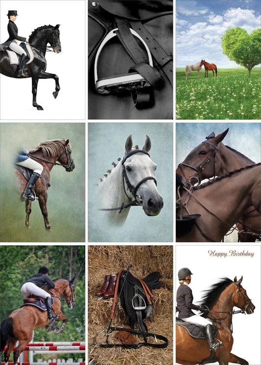 Nine Equestrian Greeting Cards - Pack H07