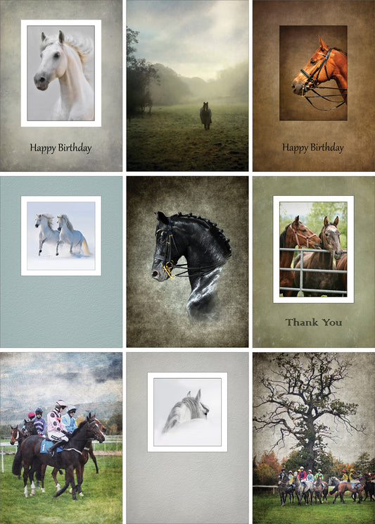 Nine Equestrian Greeting Cards - Pack H08