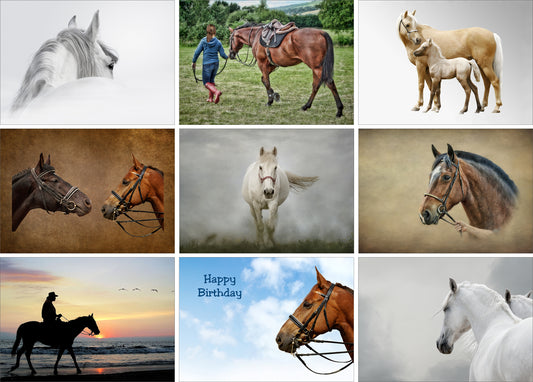 Nine Equestrian Greeting Cards - Pack H17