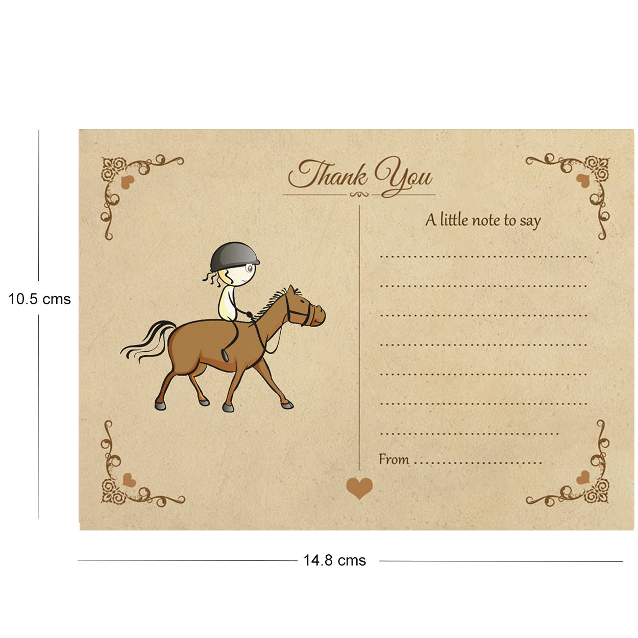 Vintage Equestrian Thank You Note Cards With Brown Kraft Envelopes - Pack of 20