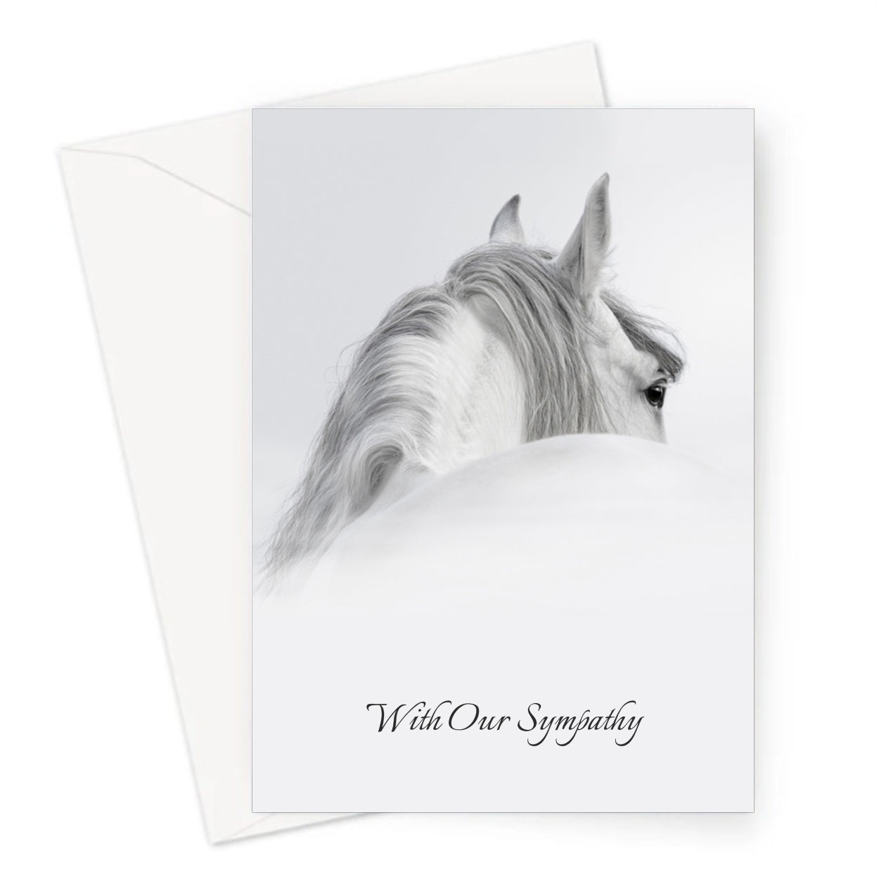 Gray Sympathy