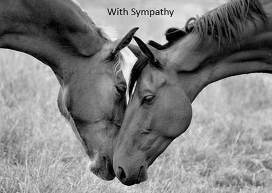 Ten Equestrian Sympathy Cards - Pack H05