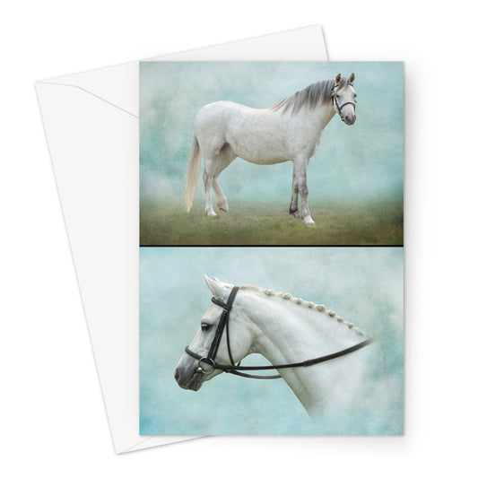 Two Grays Horse Greeting Card