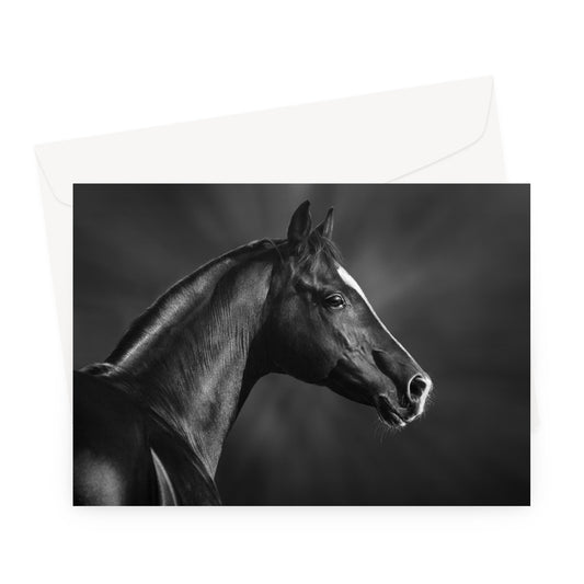 Foal Greeting Card
