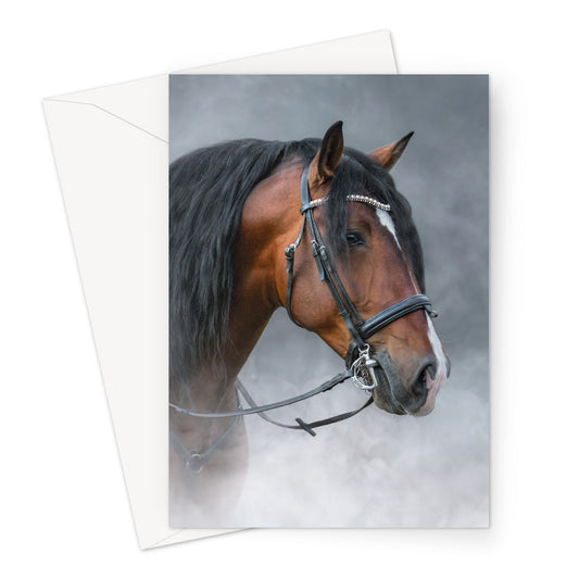 Spanish Horse Greeting Card