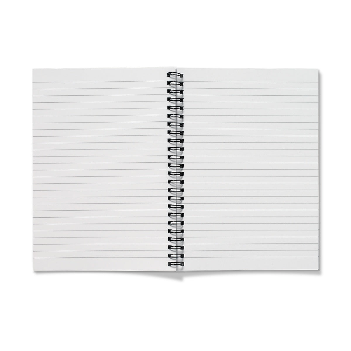 White Horse Notebook