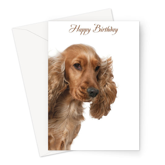 Golden Spaniel Birthday Greeting Card