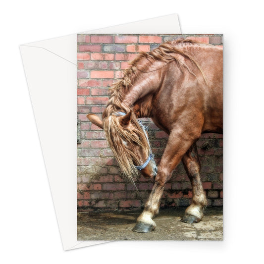Horse Wall Greeting Card