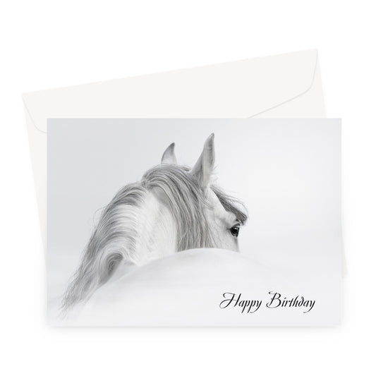 Gray Horse Birthday Greeting Card