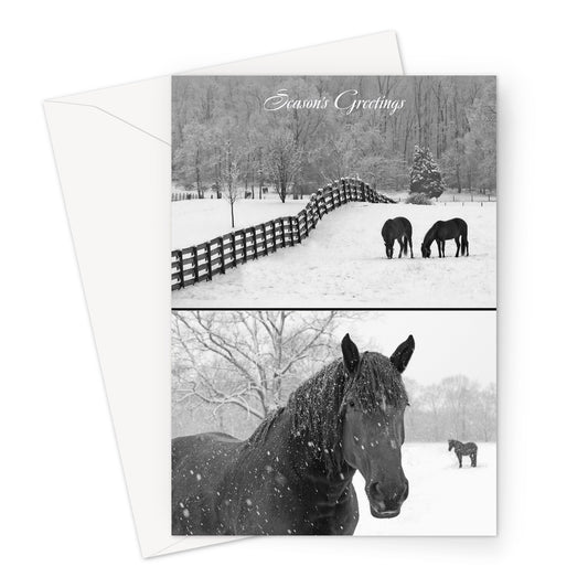 Snow Fields Horse Xmas Greeting Card