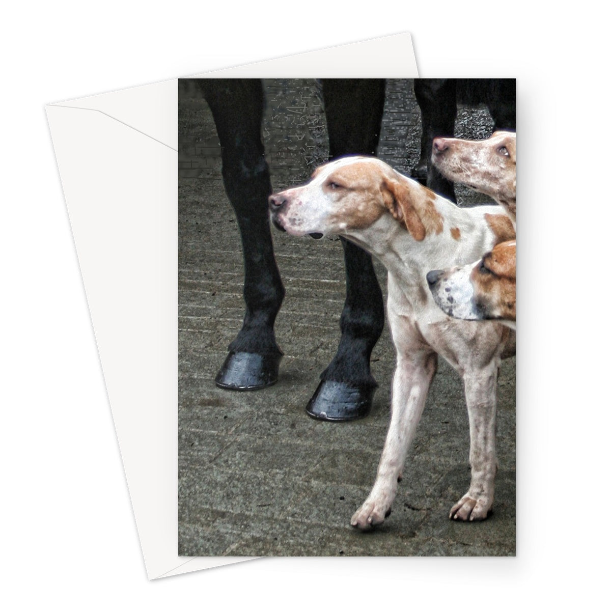 Hounds And Horses Greeting Card