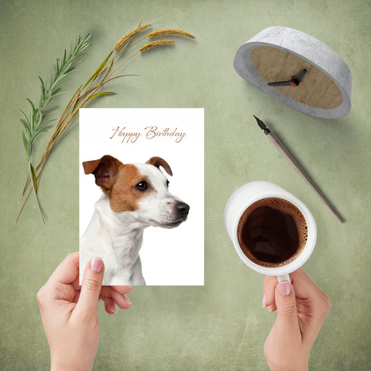 Card Offer 01