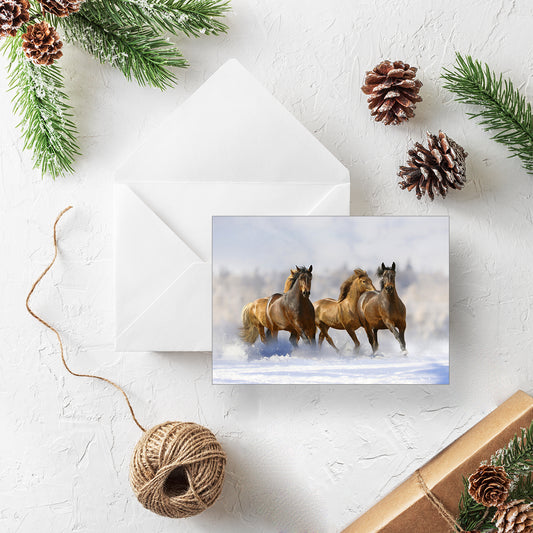20 Blank Equestrian Greeting Cards - Pack H09