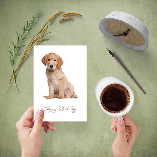 Card Offer 02