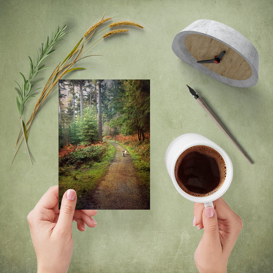 Card Offer 05