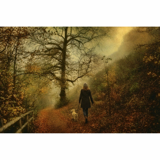 Castle Walk Set, Digital Art