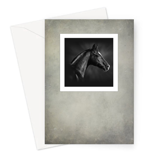 Black Arabian