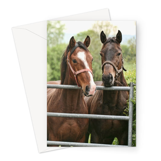 Horse Pair By Gate Greeting Card