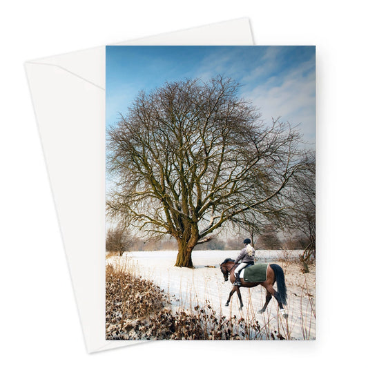 Winter Day