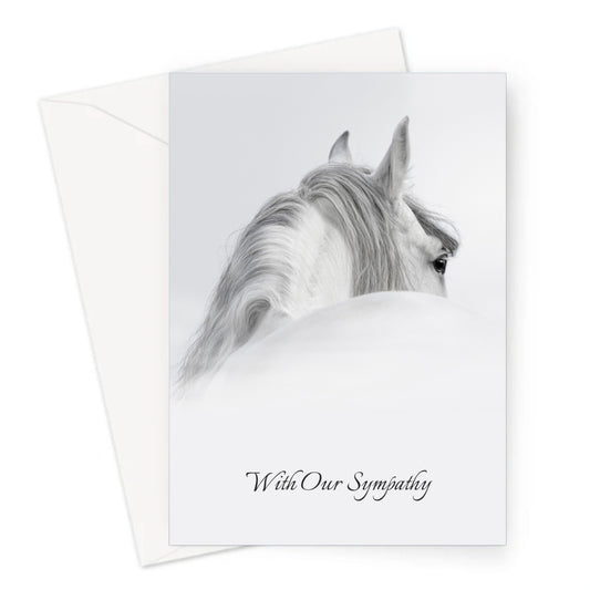 Gray Sympathy