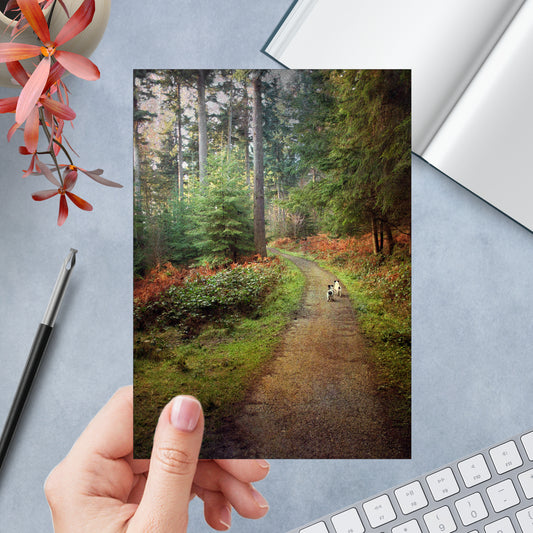 Forest Walk Greeting Card