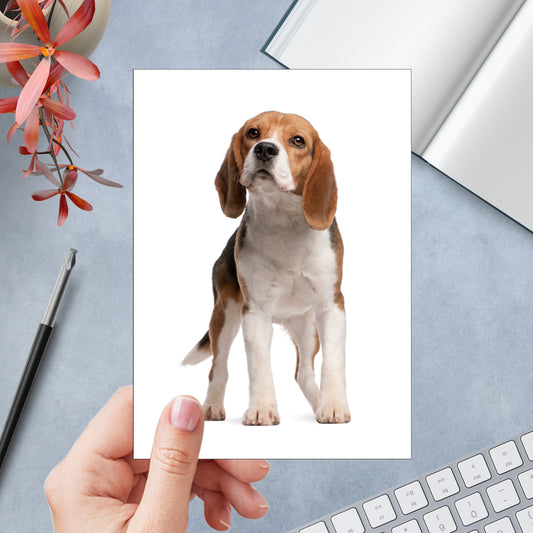 Beagle Pup Greeting Card