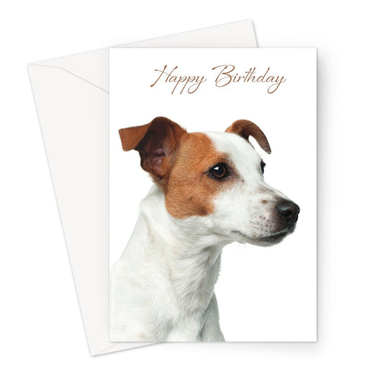 Jack Russell Greeting Card