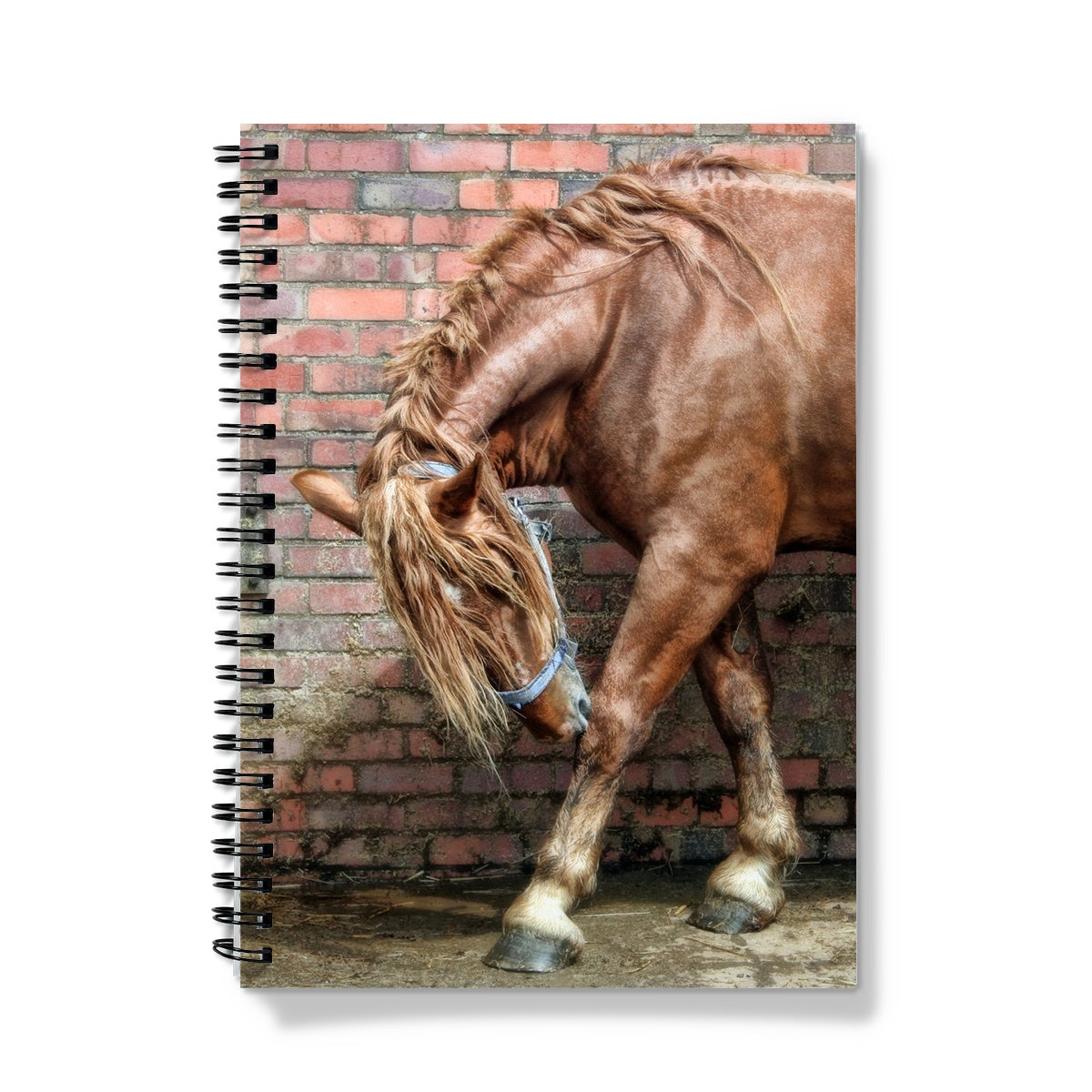 Horse Wall Notebook