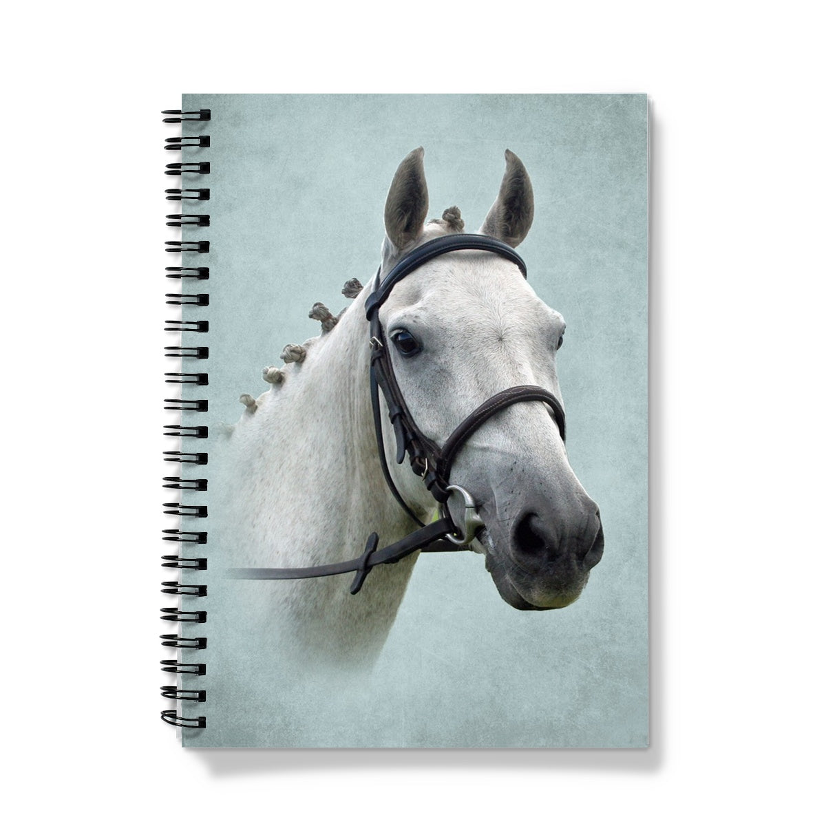 Sky Blue And Gray Horse Notebook