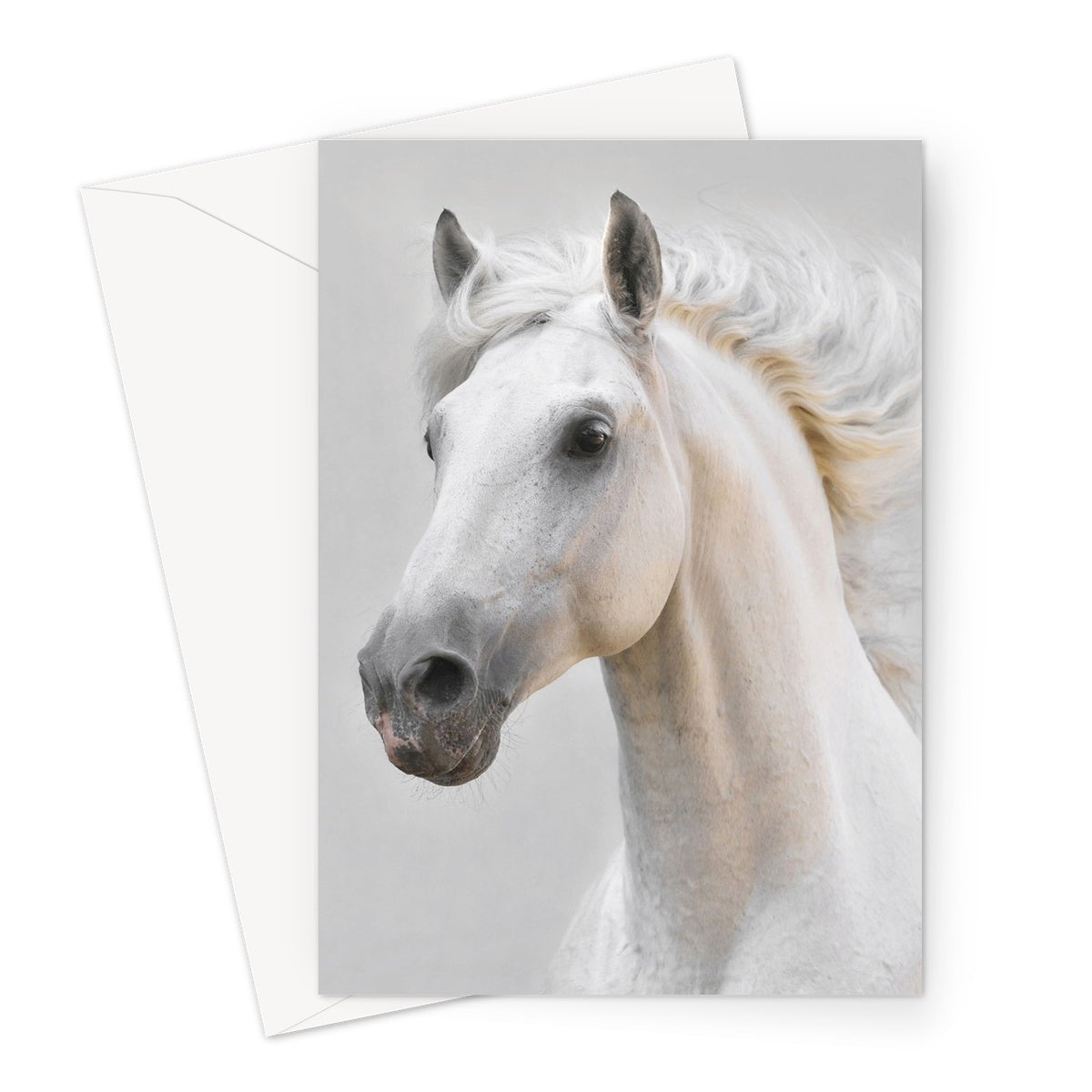 Silver By Nature Horse Greeting Card